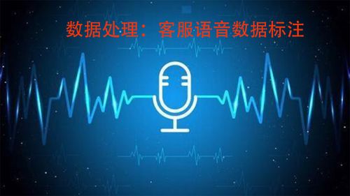 智能客服的基石 解析數(shù)據(jù)處理服務(wù)中的語音數(shù)據(jù)標注